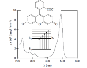 شکل 5- ساختار مولکولی و طیف جذب dianion fluorescein  در اتانول بر حسب طول موج