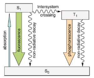 شکل1- نمودار جابلونسکی (تفاوت پدیده ­های فلورسانس و فسفرسانس)