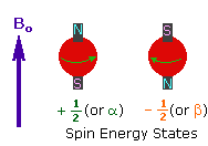nuclear spin