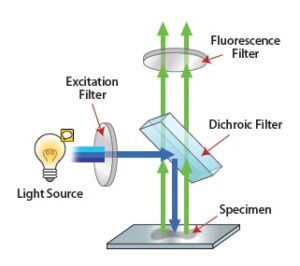 فیلتر فرکانس تداخلی در اسپکترومتری