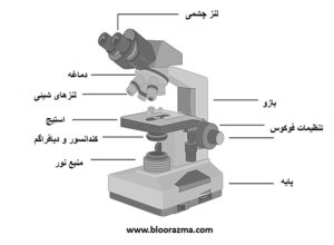 های مختلف یک میکروسکوپ نوری