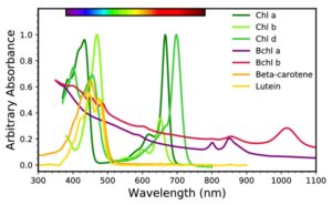 رنگدانه های روغن توسط اسپکتروفتومتری جذبی