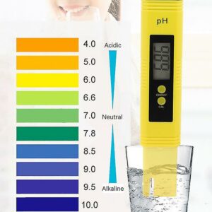 pen pH meter