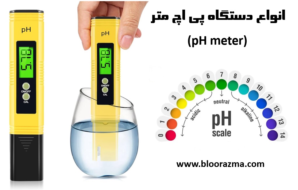 types of pH meter